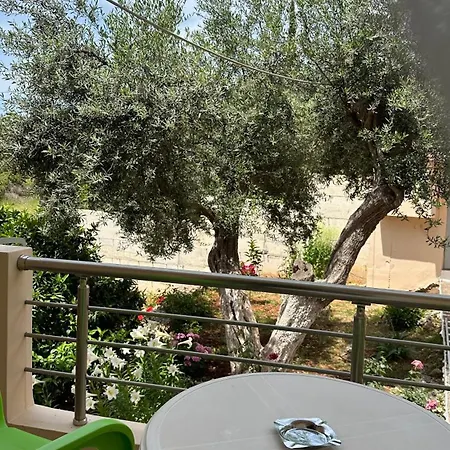 Anna House Apartment